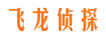 镇平市婚姻调查